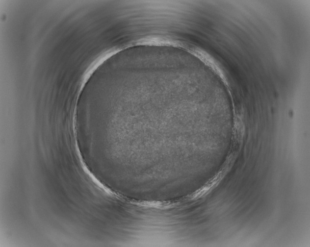 X0000085760855200703301426