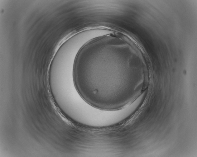 X0000085760858200703301426