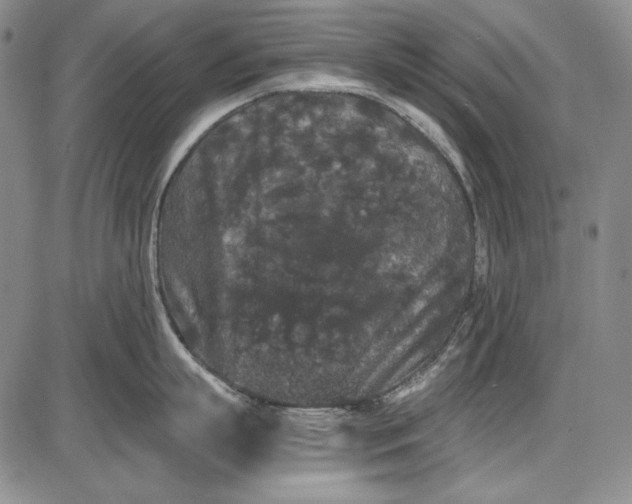 X0000085760863200703301426