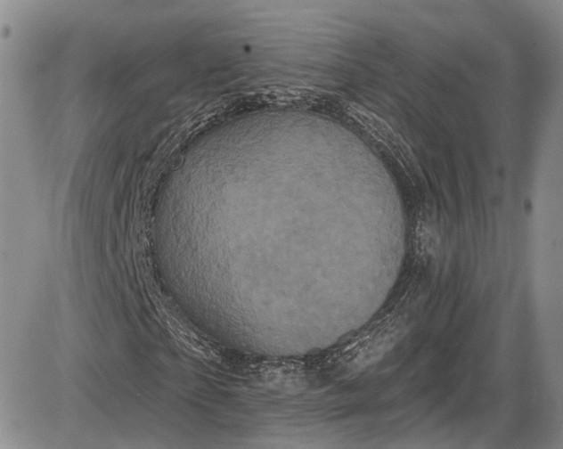 X0000085760865200703301425