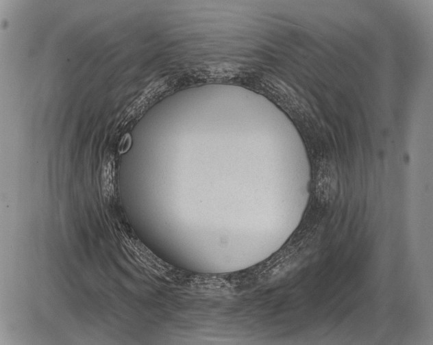 X0000085760866200703301425