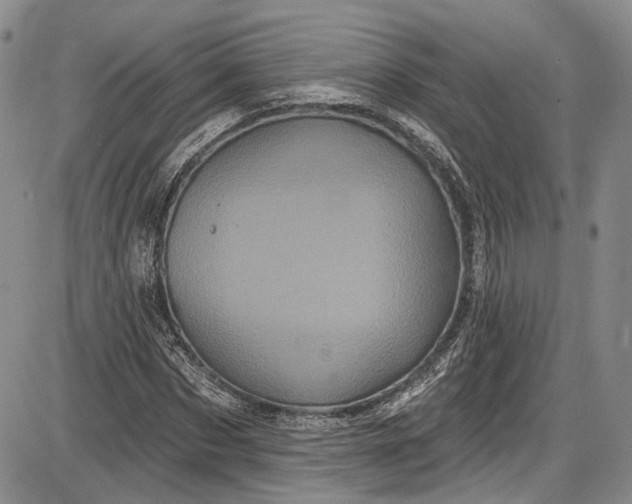X0000085760873200703301425