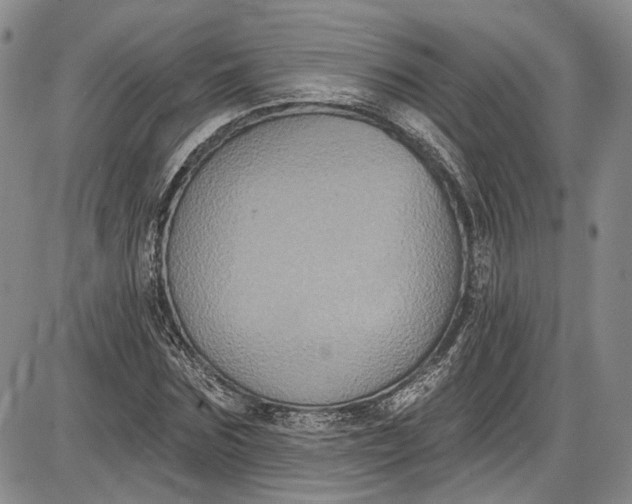 X0000085760875200703301425