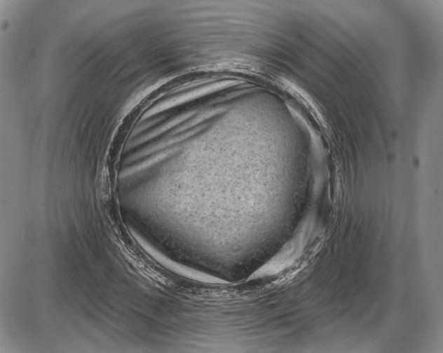 X0000085760876200703301425