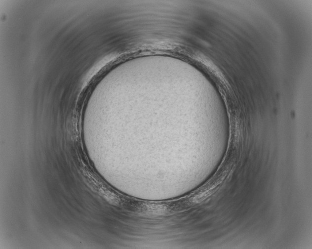 X0000085760878200703301425