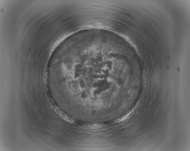 X0000085760879200703301425