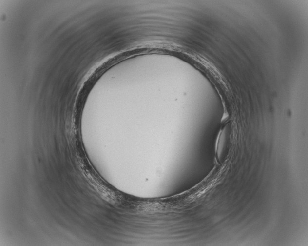 X0000085760880200703301425
