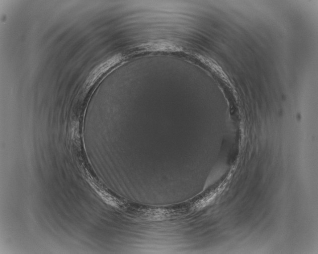X0000085760881200703301425