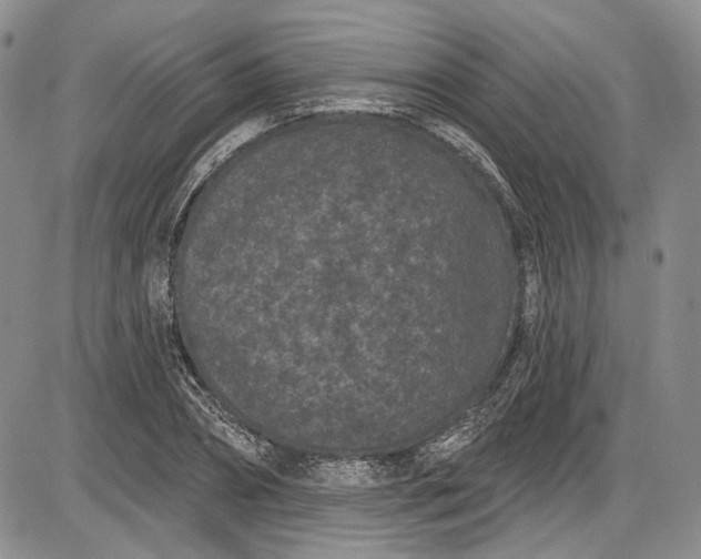 X0000085760882200703301425