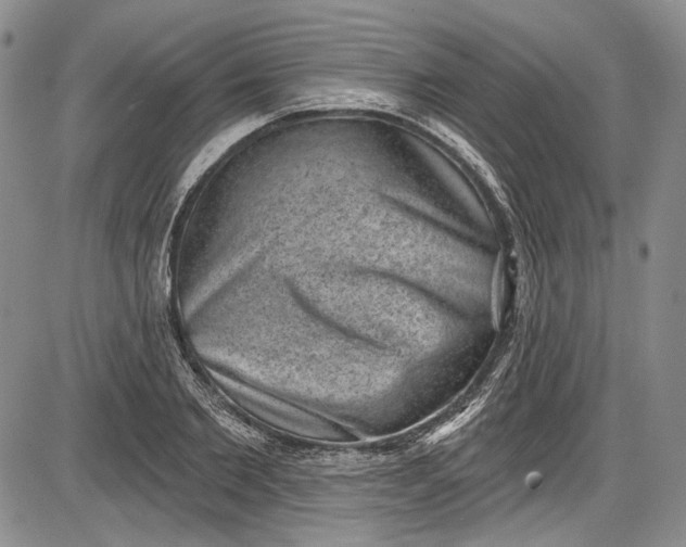 X0000085760885200703301425