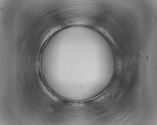 X0000085760890200703301425
