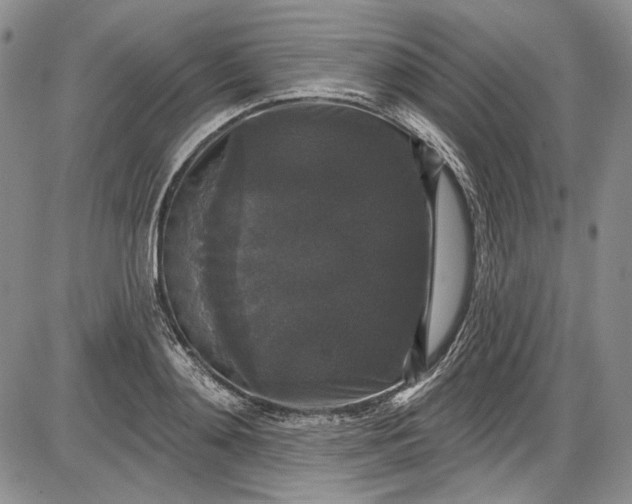 X0000085760892200703301425