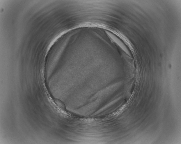 X0000085760896200703301425