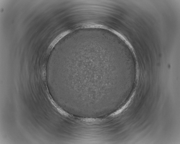 X0000085760897200703301425