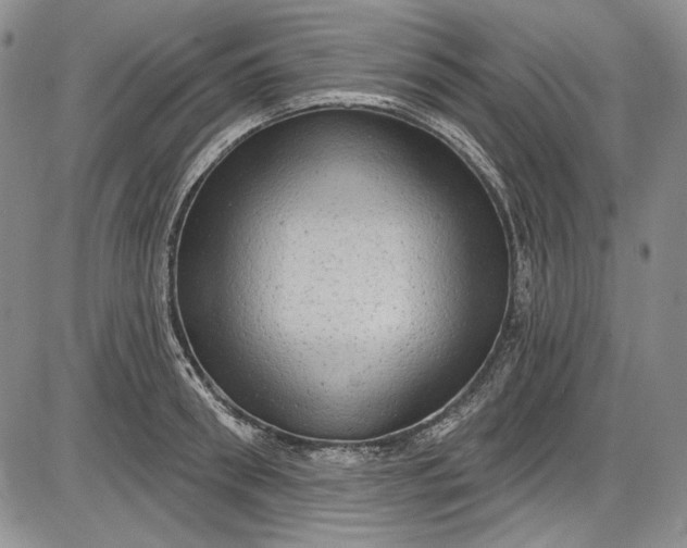 X0000085760898200703301425