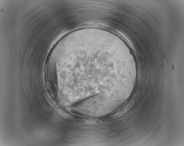 X0000085760899200703301425