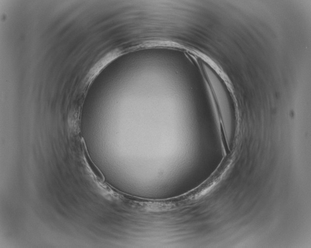 X0000085760905200703301425