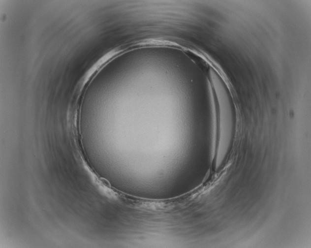 X0000085760909200703301425