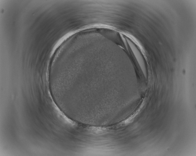 X0000085760910200703301425