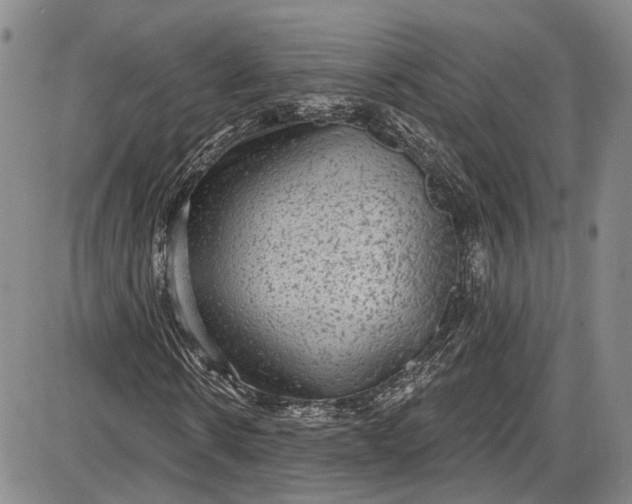 X0000085760914200703301424