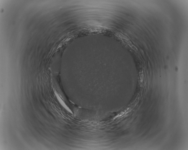 X0000085760916200703301424