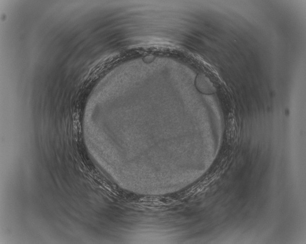 X0000085760918200703301424