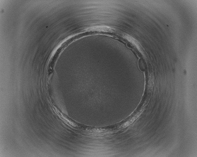 X0000085760923200703301424