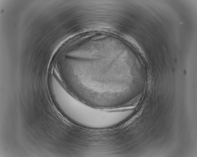 X0000085760924200703301424