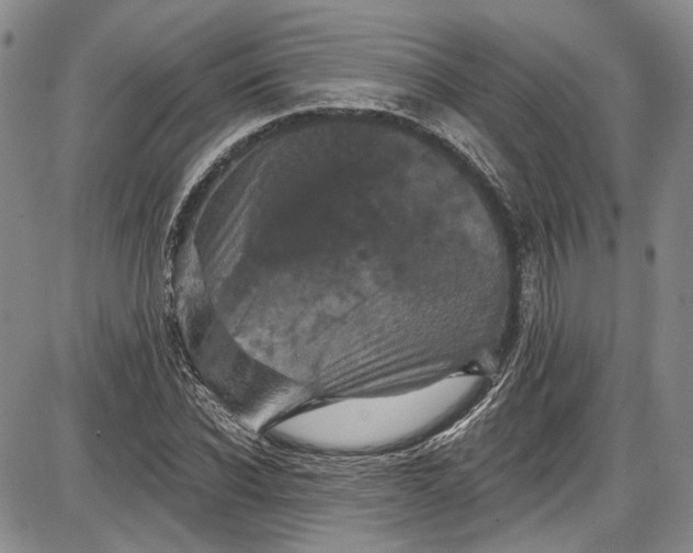 X0000085760926200703301424