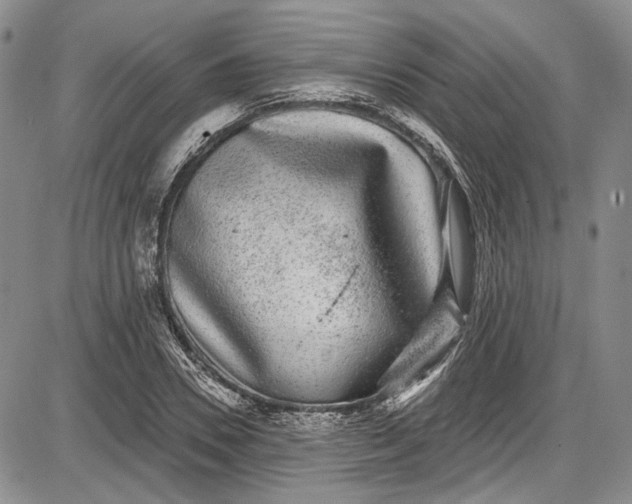 X0000085760930200703301424