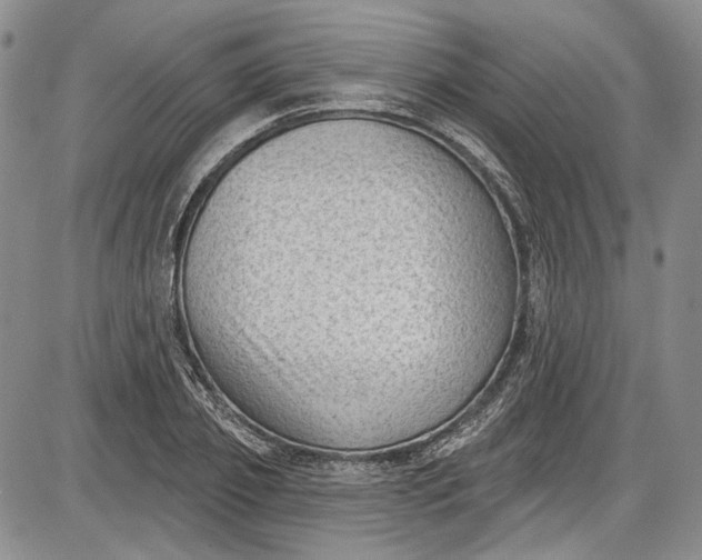 X0000085760933200703301424