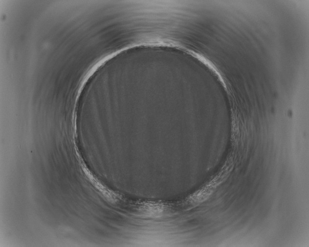 X0000085760935200703301424