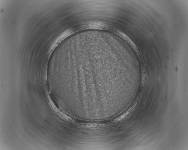 X0000085760938200703301424