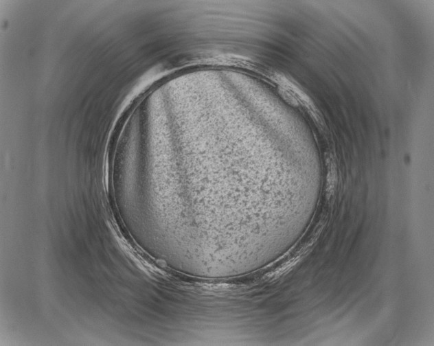 X0000085760940200703301424