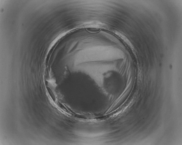 X0000085760941200703301424