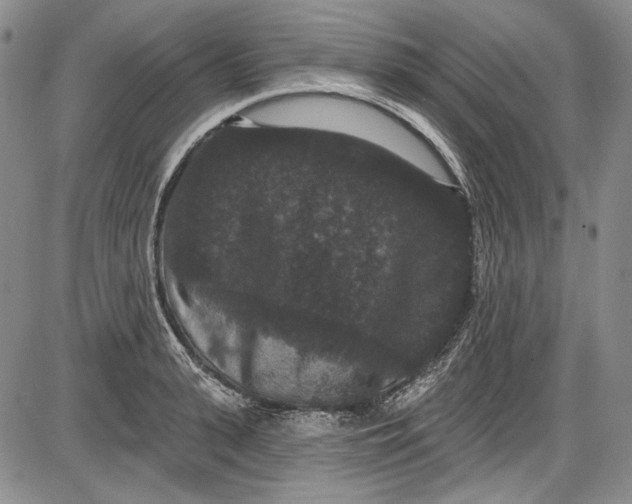 X0000085760943200703301424