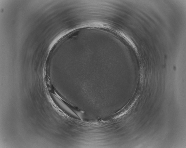 X0000085760944200703301424