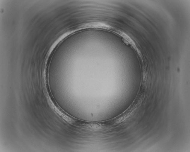 X0000085760947200703301424