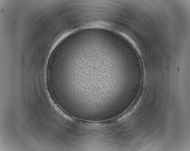 X0000085760949200703301424