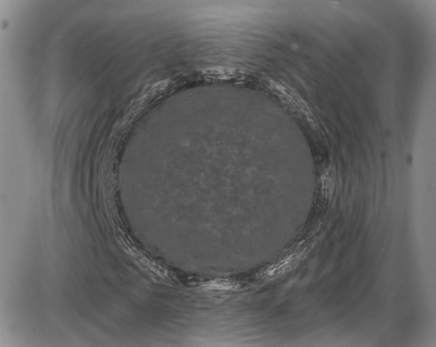 X0000085760961200703301424