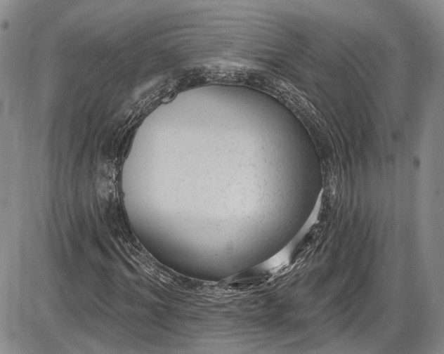 X0000085760964200703301424