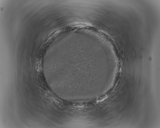 X0000085760965200703301424