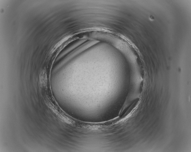 X0000085760969200703301424