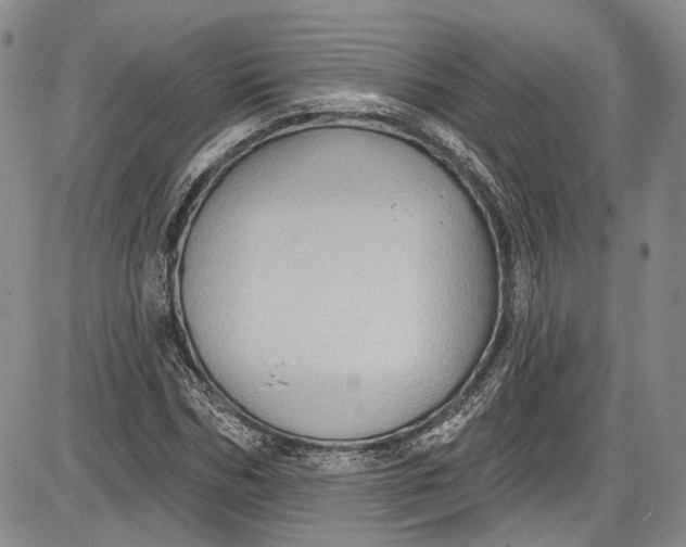 X0000085760970200703301424