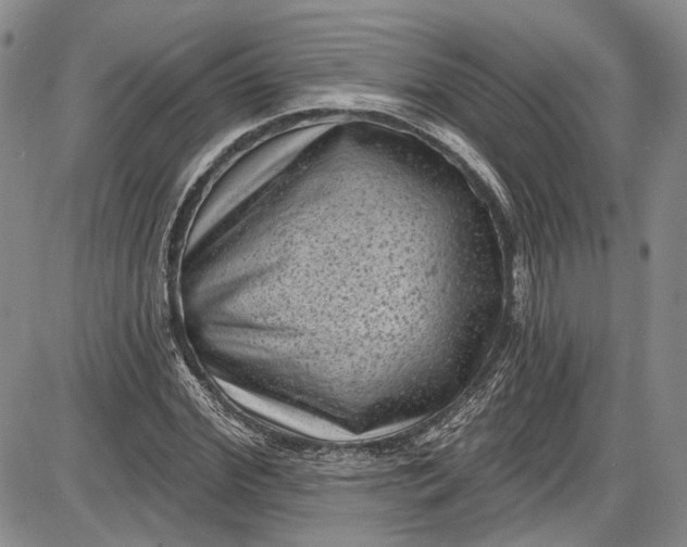 X0000085760972200703301424