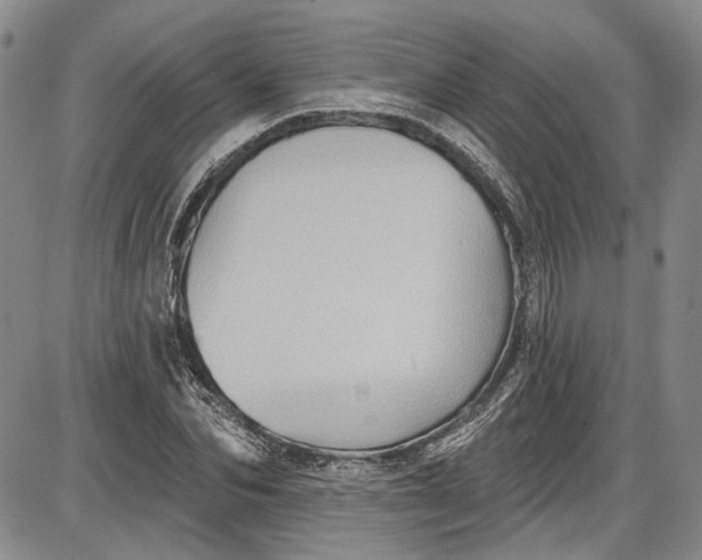 X0000085760974200703301424