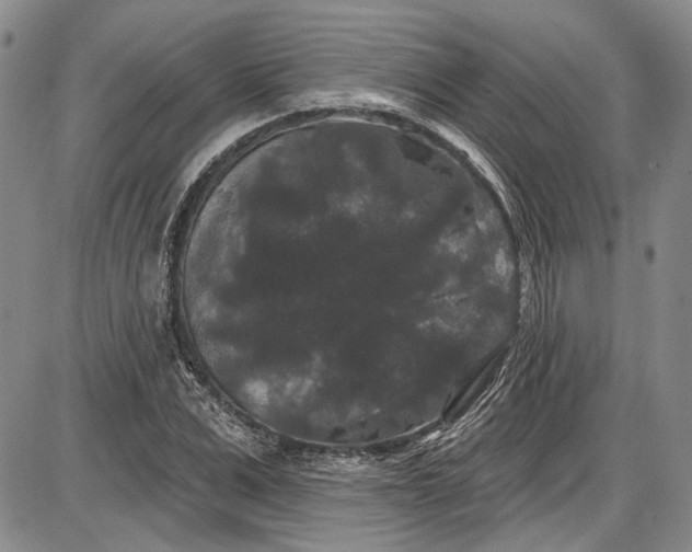 X0000085760975200703301424
