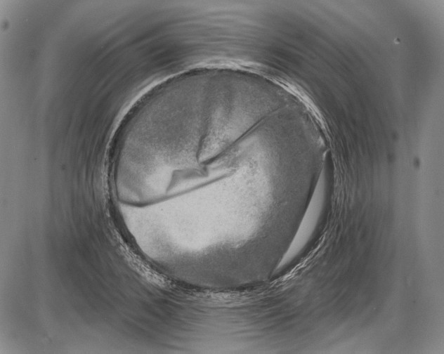 X0000085760976200703301424