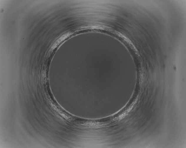 X0000085760977200703301424