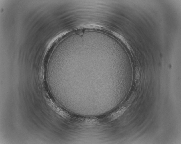 X0000085760979200703301423